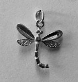 Dragonfly charm