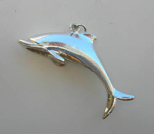 Dolphin Charm