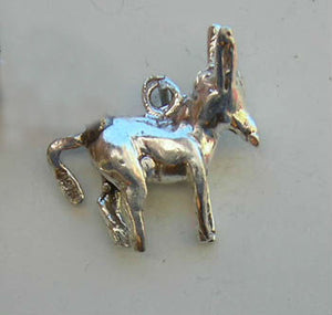 Donkey Charm