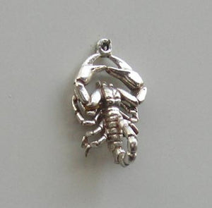 Scorpion charm