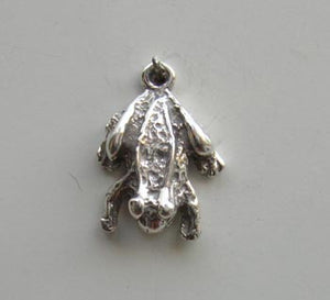 Frog Charm